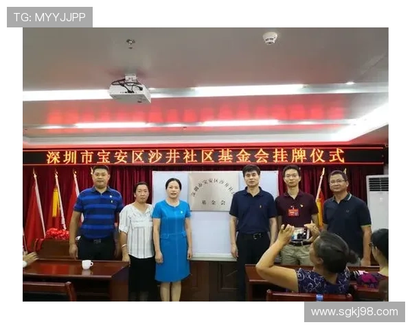 富勒姆基金会2025-2028社区战略发展规划